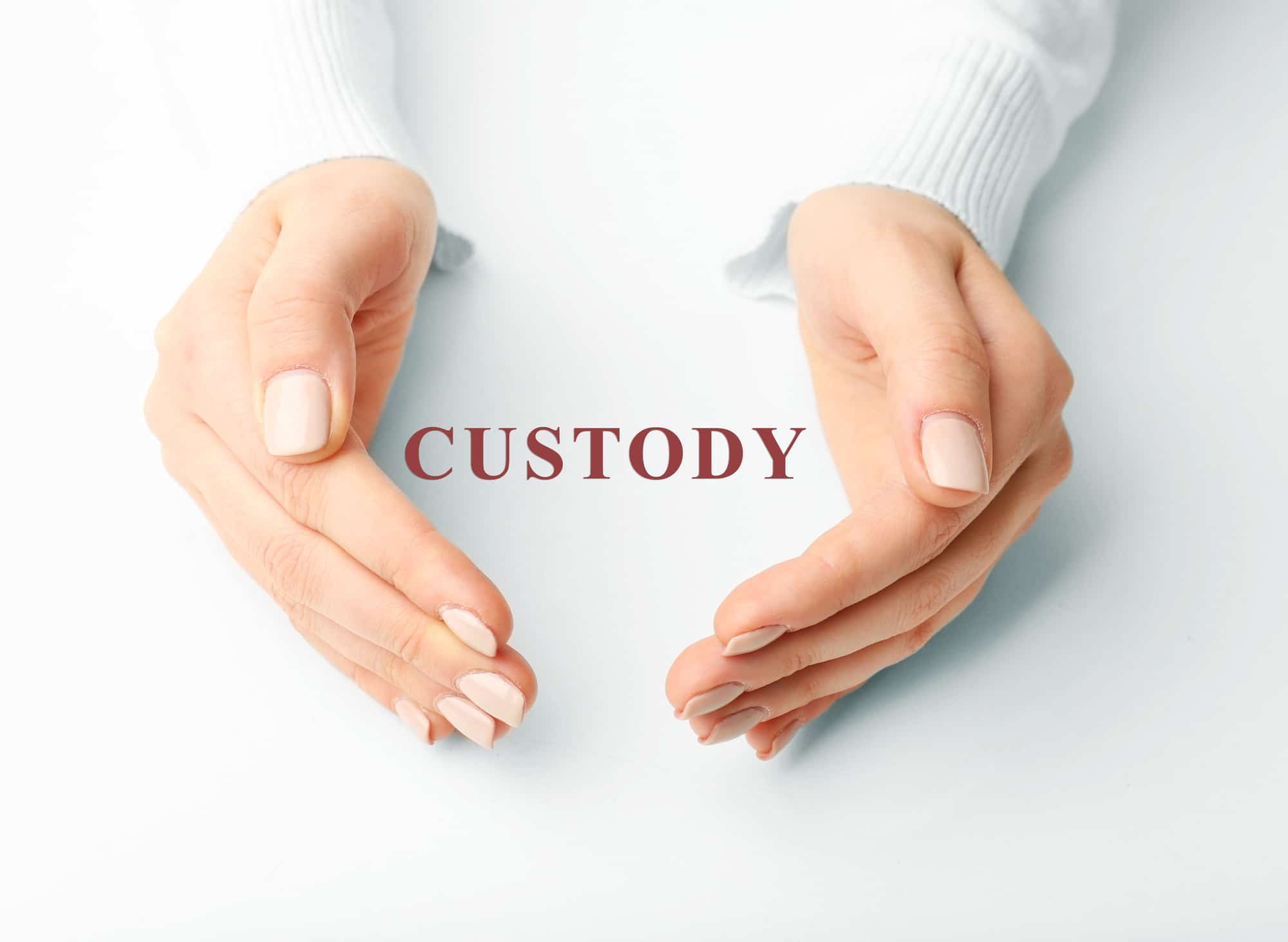Detalles que desconocías sobre child custody en USA