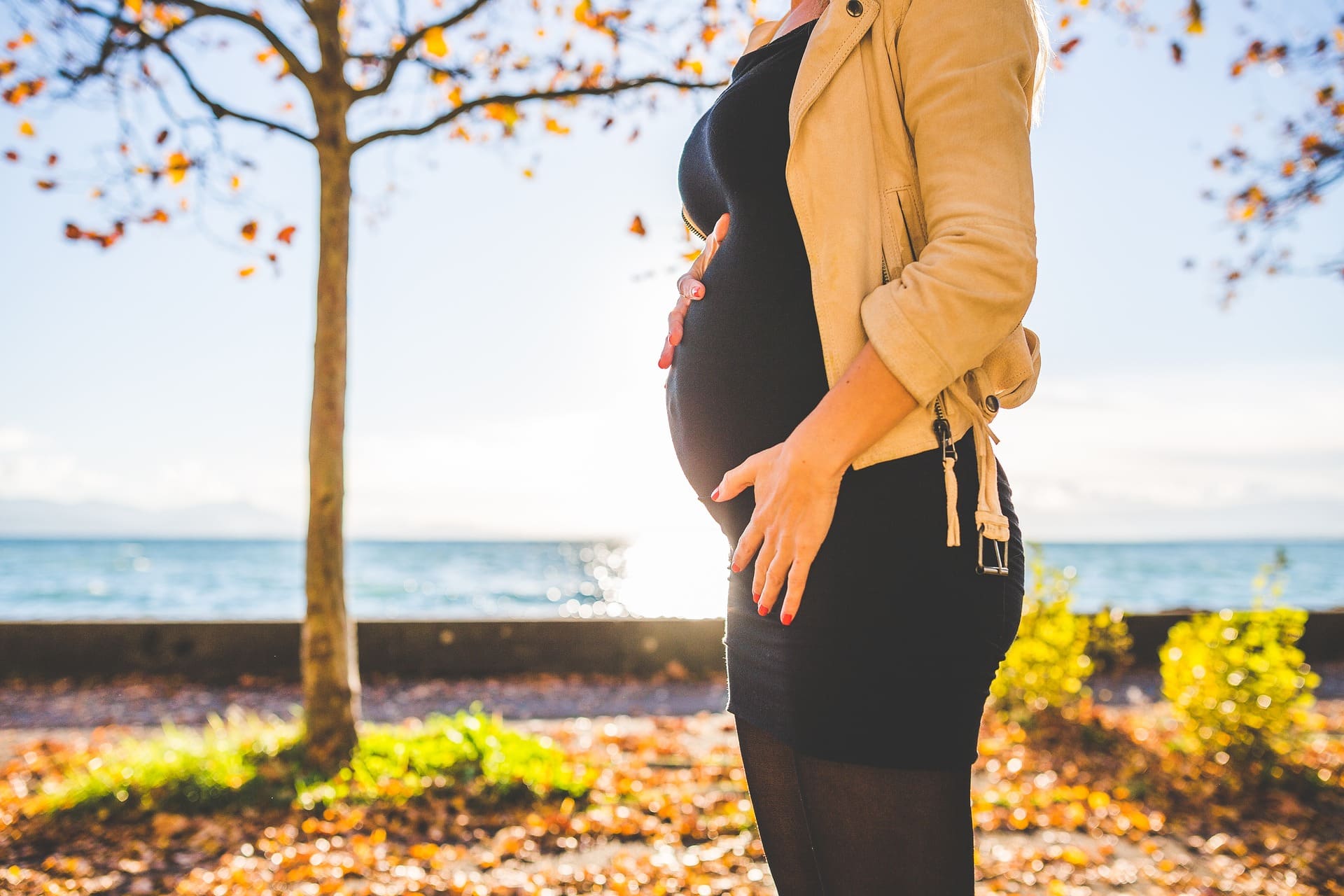 Corte de Familia:¿Puedo Divorciarme Estando Embarazada?